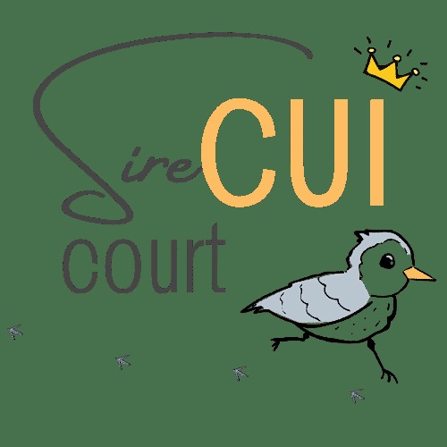 sire-cui-court-wordpress-theme-design-sye9g-o.jpg