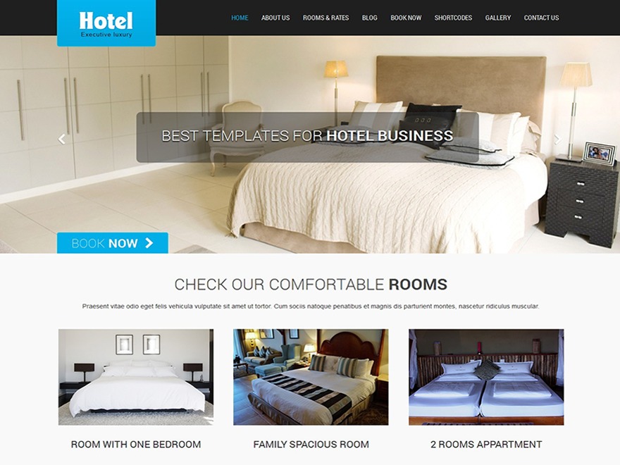 skt-hotel-lite-free-wp-theme-bioj-o.jpg