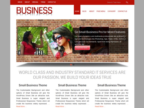 small-business-business-wordpress-theme-uq5-o.jpg