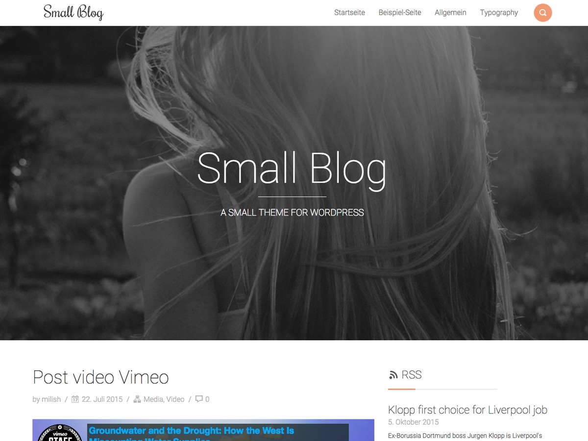 smallblog-child-wordpress-blog-template-dajjx-o.jpg