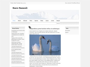 snow-summit-wordpress-blog-template-bih-o.jpg