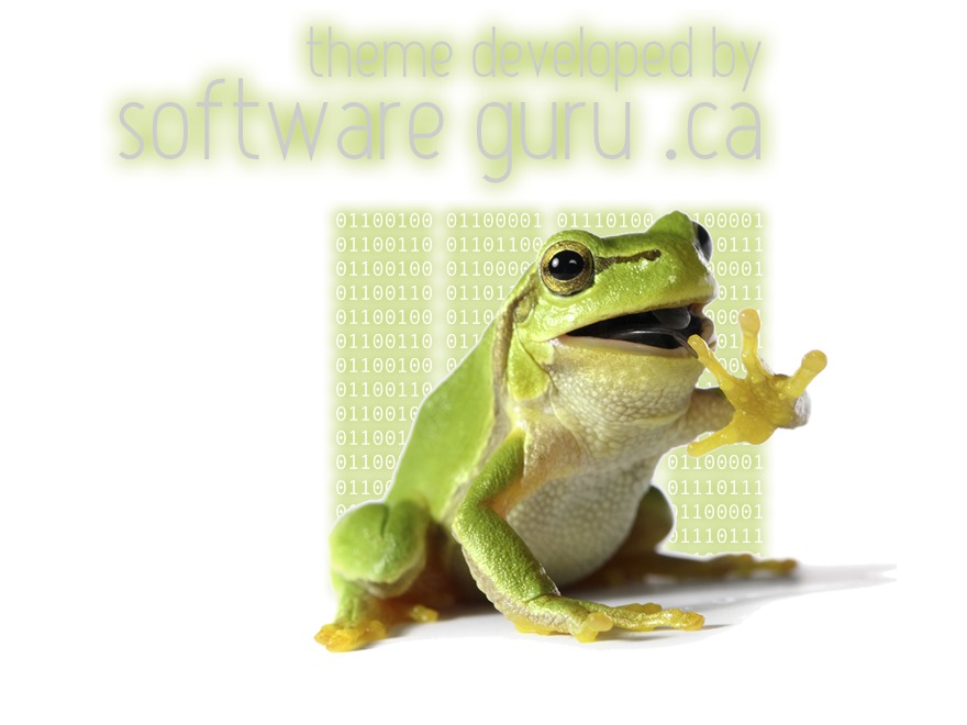 software-guru-wp-theme-mpku1-o.jpg
