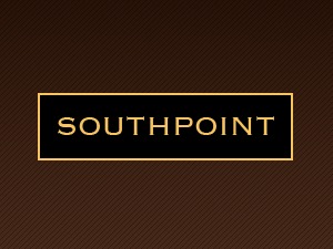 southpoint-best-wordpress-template-fi3gm-o.jpg