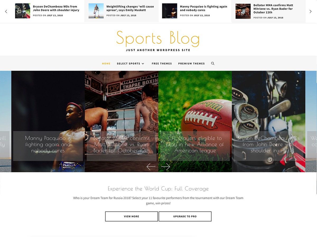 sports-blog-child-wordpress-blog-theme-pdbyt-o.jpg