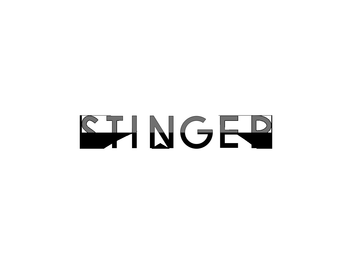 stinger8-child-best-wordpress-theme-gs484-o.jpg