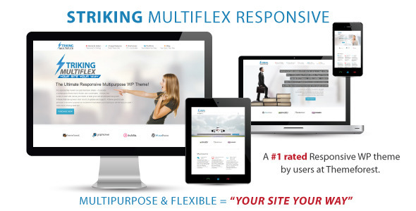 Striking - MultiFlex & Ecommerce Responsive WP Theme