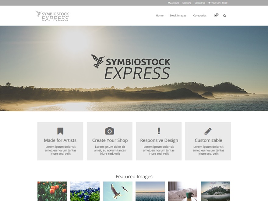 symbiostock-express-wordpress-ecommerce-template-b1qkx-o.jpg