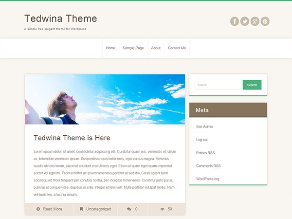 tedwina-wordpress-blog-theme-4r3r-o.jpg