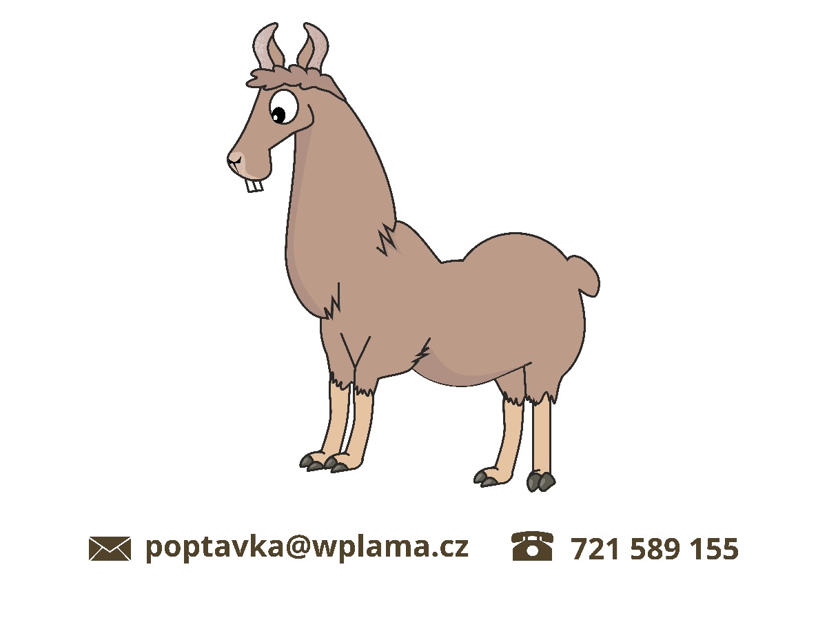 Divi Child od WPlama.cz Wordpress Theme Screenshot