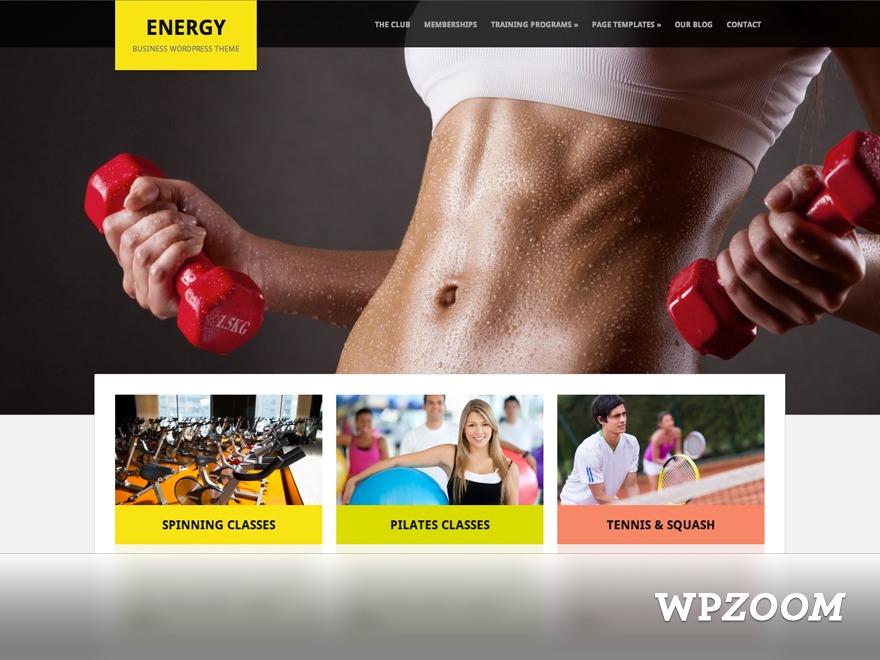 template-wordpress-energy-nyb-o.jpg