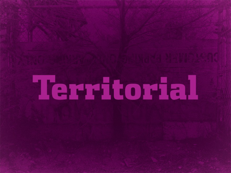 territorial-theme-wordpress-h6zfp-o.jpg
