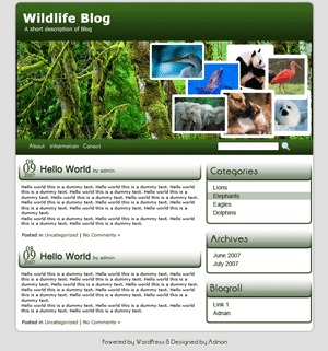 the-animal-widgets-ready-wordpress-blog-theme-gx5f-o.jpg
