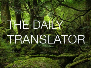 the-daily-translator-template-wordpress-u2j1-o.jpg