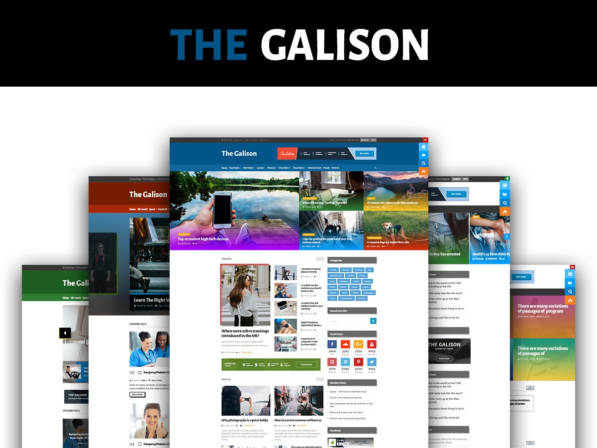 the-galison-best-wordpress-template-g5fg9-o.jpg