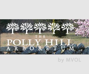 the-polly-hill-arboretum-by-mvol-best-wordpress-template-eb1i2-o.jpg