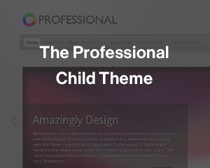 the-professional-child-top-wordpress-theme-kmgmn-o.jpg
