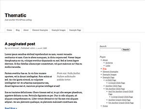 thematic-wordpress-blog-template-w2-o.jpg