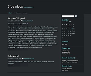 theme-wordpress-blue-moon-e59e7-o.jpg