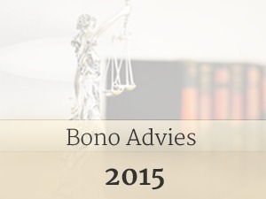 theme-wordpress-bono-advies-2015-ba8k-o.jpg