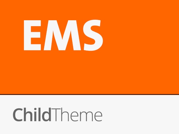 theme-wordpress-ems-child-db3h1-o.jpg