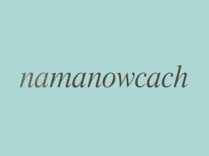 theme-wordpress-namanowcach-com-dnq7-o.jpg