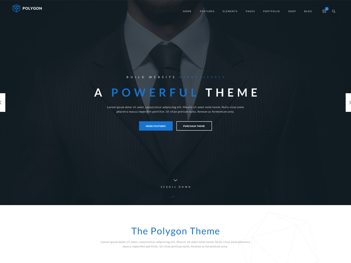 theme-wordpress-tm-polygon-fbb1-o.jpg