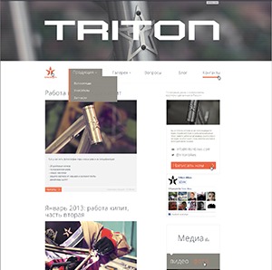 triton-wordpress-theme-tk6q-o.jpg