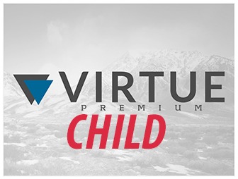 virtue-premium-child-theme-wordpress-bmirq-o.jpg