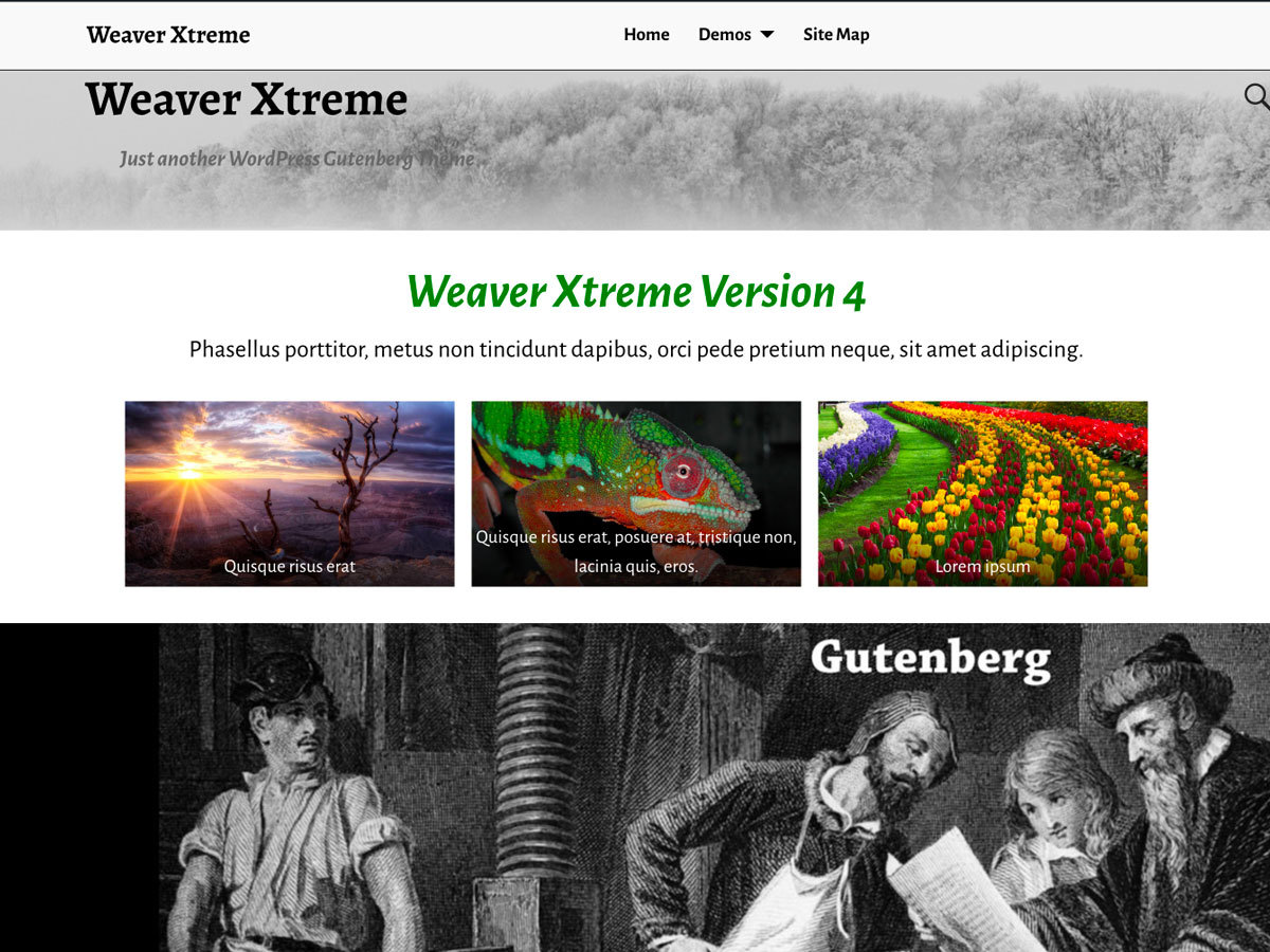 weaver-xtreme-free-wordpress-theme-bmk-o.jpg