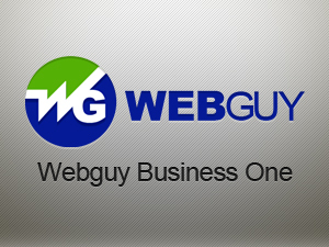 webguy-business-one-theme-business-wordpress-theme-bbi8w-o.jpg