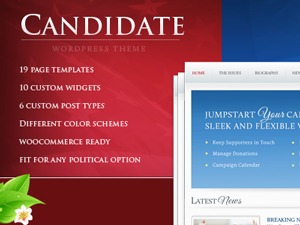 wordpress-template-candidate-mpx-o.jpg