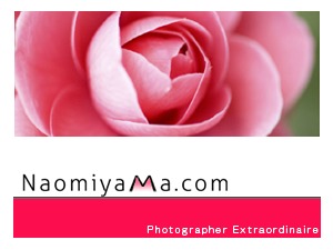 wordpress-template-naomiyama-com-fxr2m-o.jpg