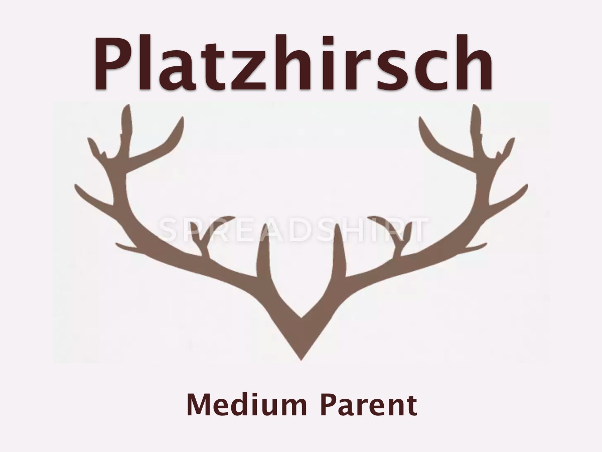 wordpress-template-platzhirsch-medium-parent-oyh22-o.jpg
