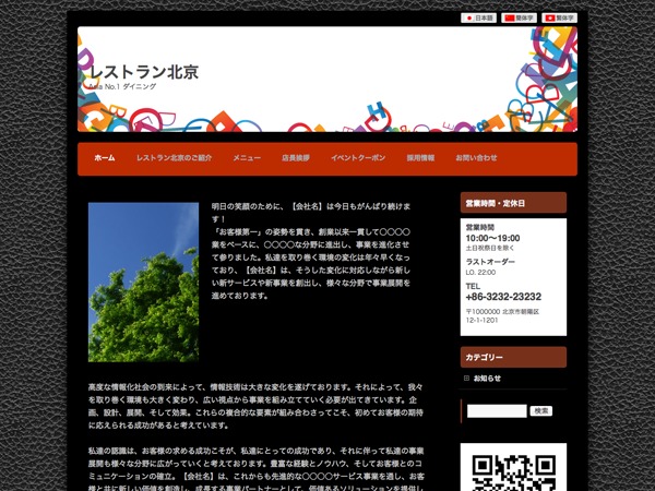 wordpress-theme-asia-page-cqmk2-o.jpg
