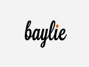 wordpress-theme-baylie-d1g-o.jpg