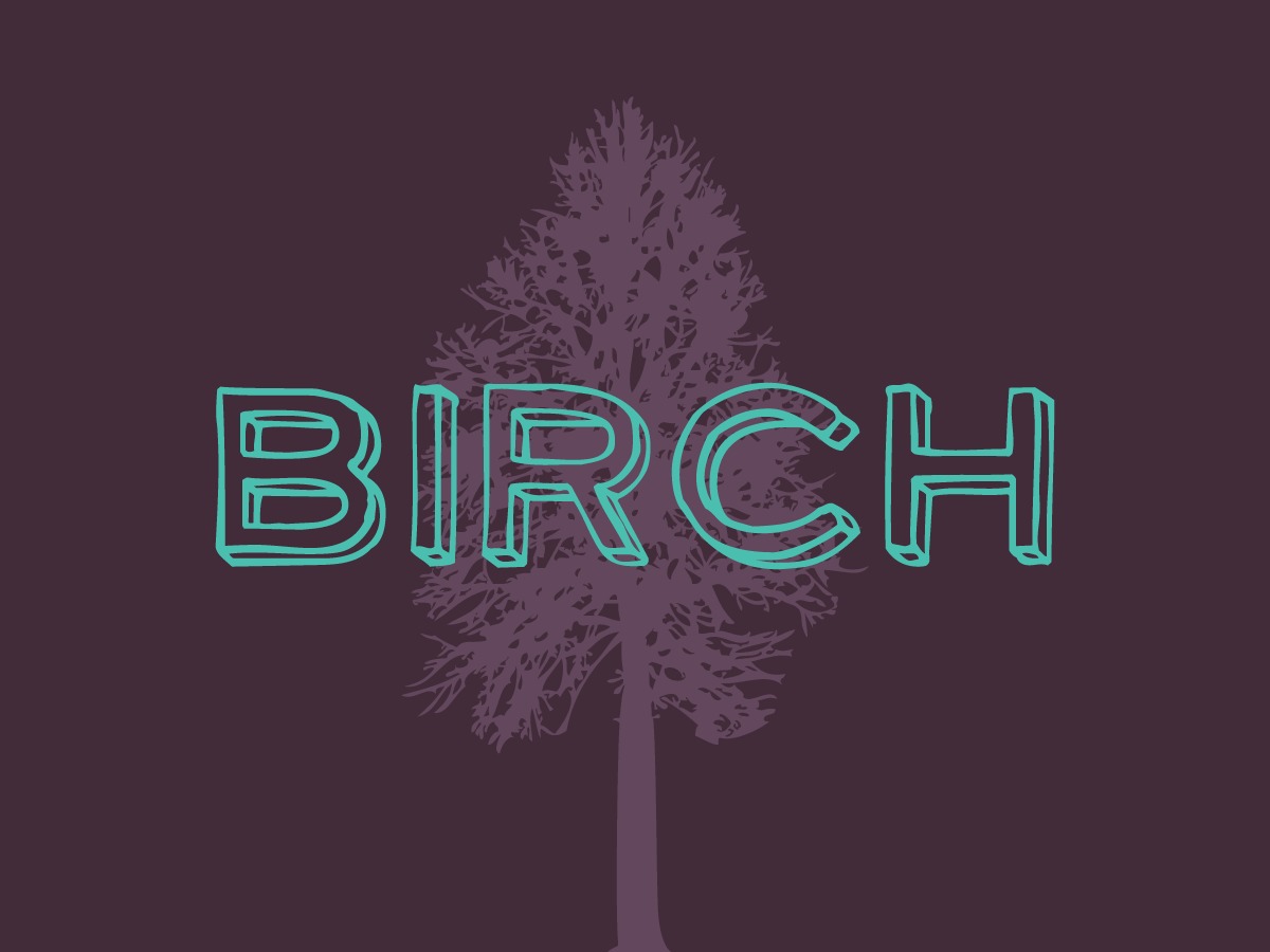 wordpress-theme-birch-19a-o.jpg
