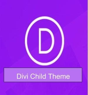 wordpress-theme-divi-child-theme-cq256-o.jpg