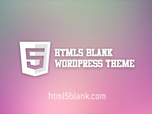 wordpress-theme-html5-blank-bkb-o.jpg