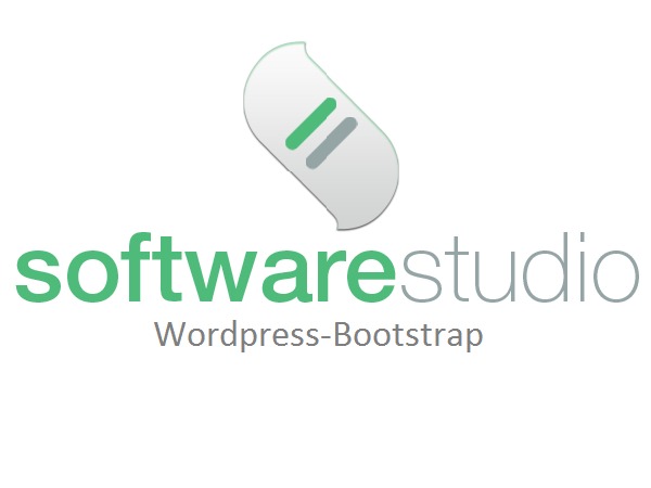 wordpress-theme-software-studio-ba2oi-o.jpg