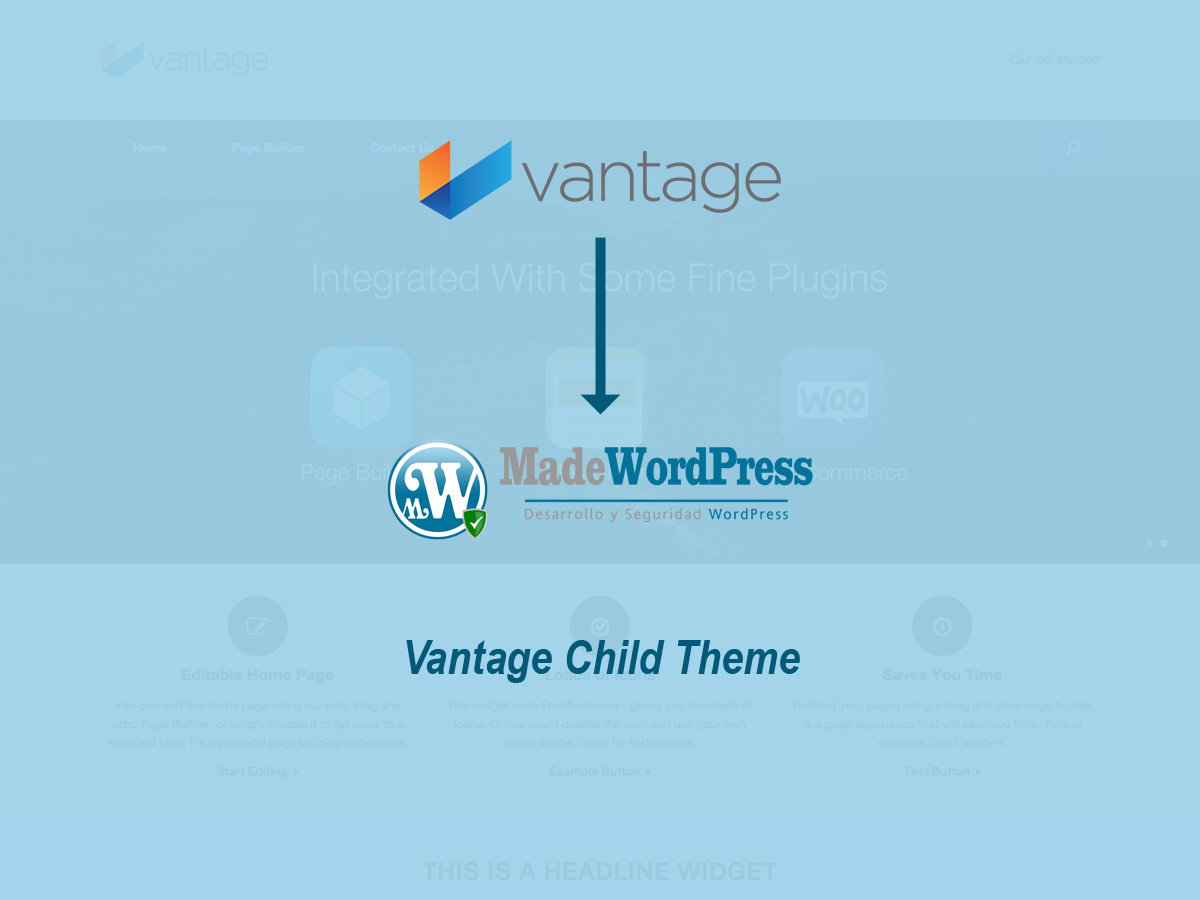 wordpress-theme-vantage-child-nus-o.jpg