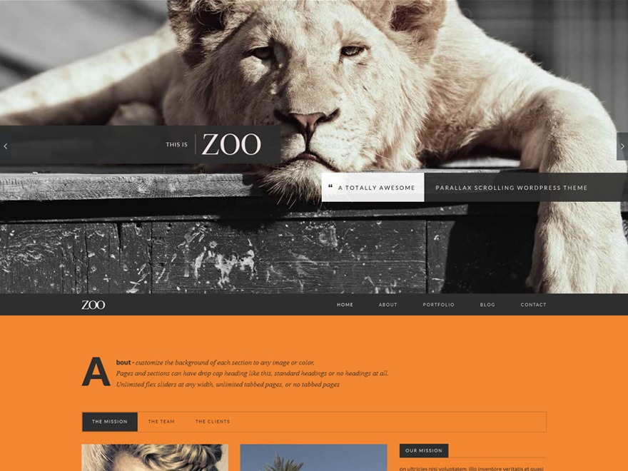 wordpress-theme-zoo-s1g-o.jpg