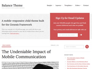 wordpress-website-template-balance-child-theme-tr-o.jpg