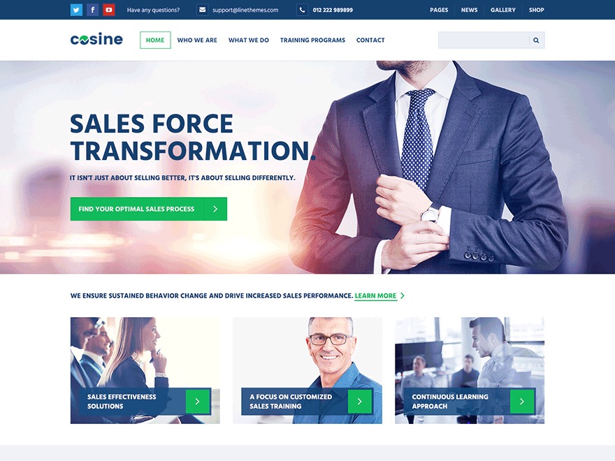 Cosine Wordpress Theme Screenshot