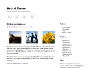 wordpress-website-template-hybrid-b15-o.jpg
