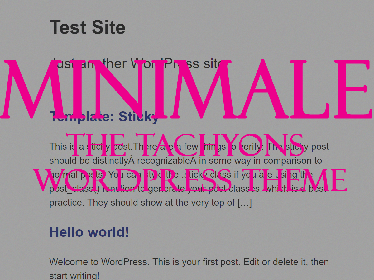 wordpress-website-template-minimale-pfm4h-o.jpg