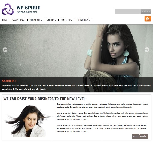 wordpress-website-template-wp-spirit-theme-icee-o.jpg