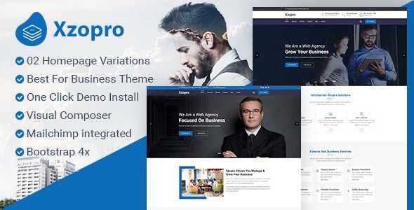 Xzopro - Finance And Business WordPress Theme