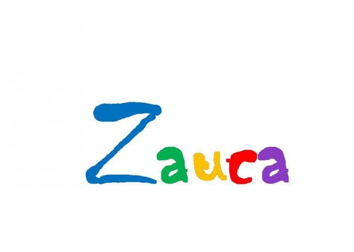 zauca-custom-theme-theme-wordpress-jzky7-o.jpg