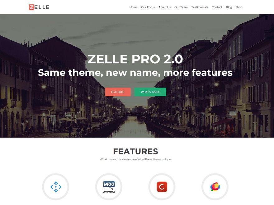 zelle-pro-wordpress-template-for-business-jcz5s-o.jpg