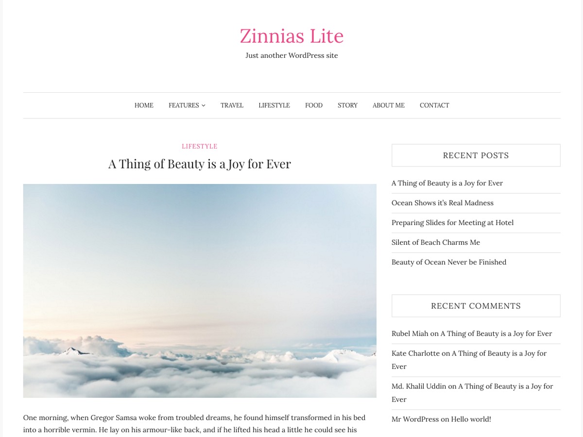 zinnias-lite-wordpress-travel-theme-eqh9-o.jpg